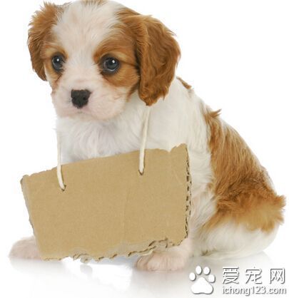 有哪些篮球战术训练的应用程序可以帮助我进步?_1